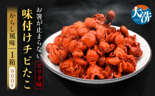 こたこた 12個×5セット 味付けチビたこ からし風味 800g やまさん商店 たこ 蛸 ピリ辛 ちび