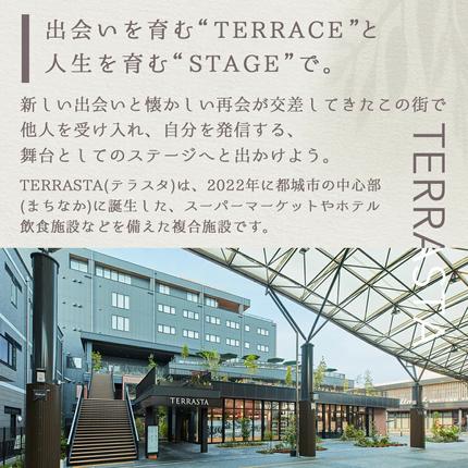 宮崎県都城市のふるさと納税 【HOTEL TERRASTA】スーペリアツインルーム≪1泊朝食付 宿泊券2名様分≫_74-K501