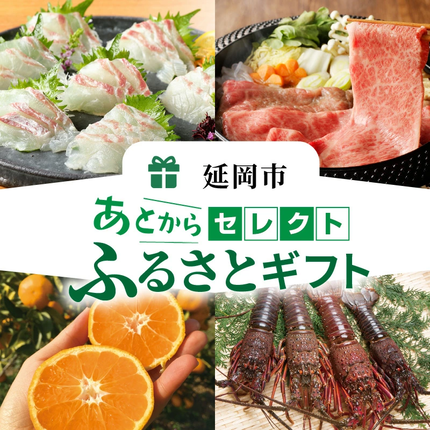 宮崎県延岡市のふるさと納税 あとからセレクト10万円 N0159-YG0127