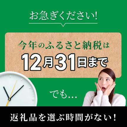 宮崎県延岡市のふるさと納税 あとからセレクト10万円 N0159-YG0127