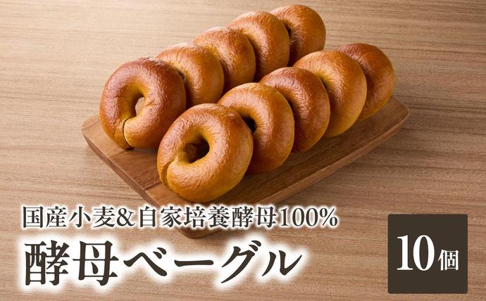 国産小麦&自家培養酵母100% 酵母ベーグル10個