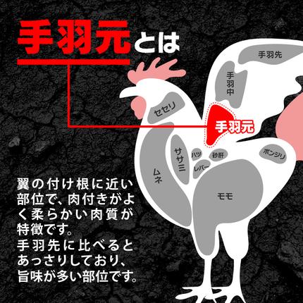 京都府木津川市のふるさと納税 スパイシーチキン 約5Kg