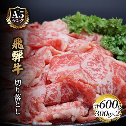 岐阜県池田町のふるさと納税 飛騨牛切り落とし　600ｇ(300g×2) 牛肉 お肉 国産 黒毛和種 柔らかい とろける くちどけが良い 霜降り 細かいサシ 食材 食卓 グルメ