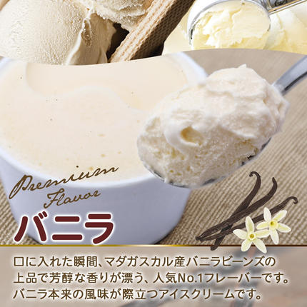 北海道弟子屈町のふるさと納税 2341. 無地熨斗 くりーむ童話 カップアイス バニラ 100ml×6個 アイスクリーム アイス スイーツ 牛乳 ミルク 贈り物 gift ギフト プレゼント 詰め合わせ 送料無料 北海道 弟子屈町