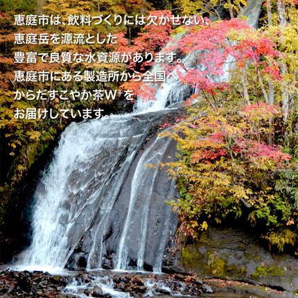 北海道恵庭市のふるさと納税 【定期便：6回（隔週発送）】からだすこやか茶W+ 350ml×24本【38004201】