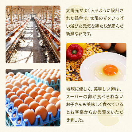 関匠卵 たくみ30個 ※北海道・沖縄・離島への配送不可 | 卵 30個 赤玉