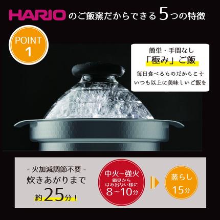 HARIO フタがガラスのIH対応ご飯釜 雪平［GIS-200］｜ハリオ 耐熱