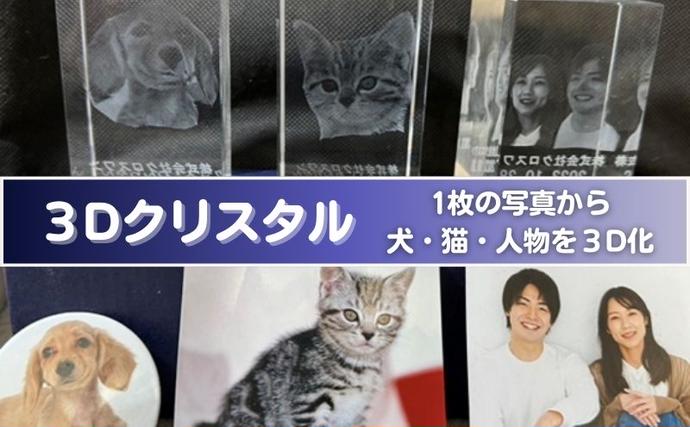 東京都豊島区のふるさと納税 置物 1枚写真で3Dクリスタル 犬・猫・人物の正面写真 3Dクリスタル クリスタル インテリア ペット グッズ 猫 犬 家族 子供 名入れ おしゃれ 猫グッズ 犬グッズ ギフト プレゼント 贈答 贈答品 記念品 お祝い 変わり種 雑貨 東京 東京都 豊島区