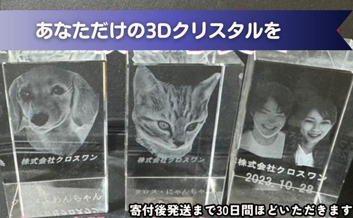 東京都豊島区のふるさと納税 置物 1枚写真で3Dクリスタル 犬・猫・人物の正面写真 3Dクリスタル クリスタル インテリア ペット グッズ 猫 犬 家族 子供 名入れ おしゃれ 猫グッズ 犬グッズ ギフト プレゼント 贈答 贈答品 記念品 お祝い 変わり種 雑貨 東京 東京都 豊島区