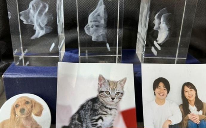東京都豊島区のふるさと納税 置物 1枚写真で3Dクリスタル 犬・猫・人物の正面写真 3Dクリスタル クリスタル インテリア ペット グッズ 猫 犬 家族 子供 名入れ おしゃれ 猫グッズ 犬グッズ ギフト プレゼント 贈答 贈答品 記念品 お祝い 変わり種 雑貨 東京 東京都 豊島区