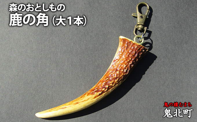 鹿の角　工芸品 エゾ鹿の角 | 北海道大自然の工芸品「橋本工芸」アイヌ紋様／北海道