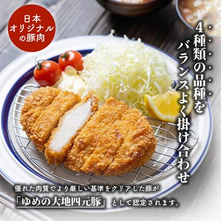 北海道羽幌町のふるさと納税 【北海道ブランド豚】「ゆめの大地」 豚ロースブロック 1kg【27007】