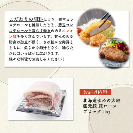 北海道羽幌町のふるさと納税 【北海道ブランド豚】「ゆめの大地」 豚ロースブロック 1kg【27007】