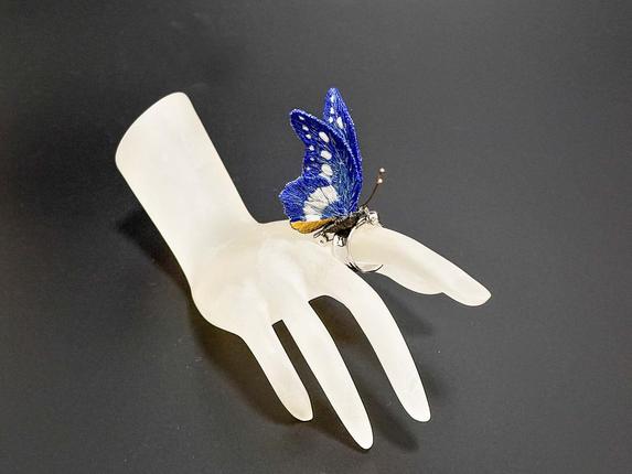 立体刺繍の蝶（ヘレナモルフォ蝶） / 千葉県船橋市 | セゾンのふるさと納税