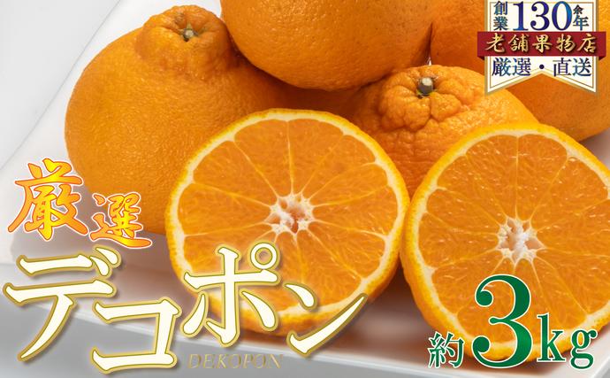 厳選！濃厚甘味のぷりっぷり「デコポン」　約