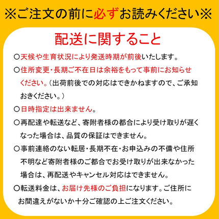千葉県船橋市のふるさと納税 2024年発送分【贈答用】極上梨「あきづき」3kg　果汁たっぷり　船橋産　9月中下旬発送　期間限定　梨　夏　6～9玉　なし　水菓子　果物　デザート