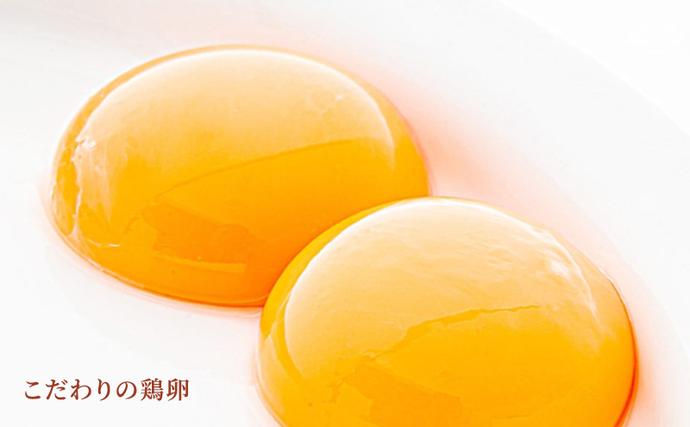 兵庫県稲美町のふるさと納税 文明堂 カステラ 2本 (1本10切れ) セット 詰め合わせ カット済み 和菓子 焼菓子 焼き菓子 お菓子 菓子 おやつ デザート スイーツ 文明堂カステラ 添加物不使用 保存料不使用 ギフト 贈り物 プレゼント 兵庫 兵庫県 稲美町