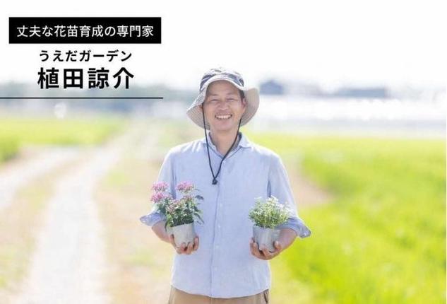 兵庫県稲美町のふるさと納税 花 定期便 4ヶ月季節の花苗 セット 花き品評会理事長賞受賞 花苗 生産者直送 庭季節の花苗セット ガーデニング 花壇 苗 苗木 花の苗 花の苗物 定期 お楽しみ 4回 お届け