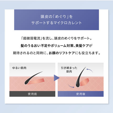茨城県つくばみらい市のふるさと納税 WAVEWAVE EMS Brush Air クッションブラシ ホワイト EMS ブラシ クッションブラシ マイクロカレント マイナスイオン 赤色LED 潤い 艶 光エステ ヘアブラシ 頭皮ケア 美容 ヘアケア ブラッシュエアー ブラシエアー ウェイブウェイブ 誕生日 プレゼント 実用的 頭皮マッサージ 家電 電化製品 新生活 プレゼント 新生活応援 日用品 美容機器 必要なもの 便利 おすすめ 一人暮らし 二人暮らし 必要 [AG231-NT]
