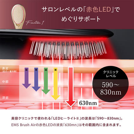 WAVEWAVE EMS Brush Air クッションブラシ ゴールド EMS ブラシ