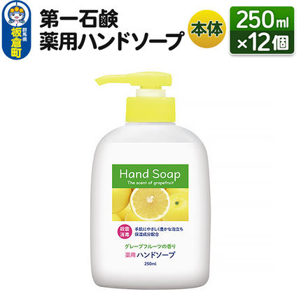 第一石鹸 薬用ハンドソープ 本体 250ml×12個 / 群馬県板倉町 | セゾン