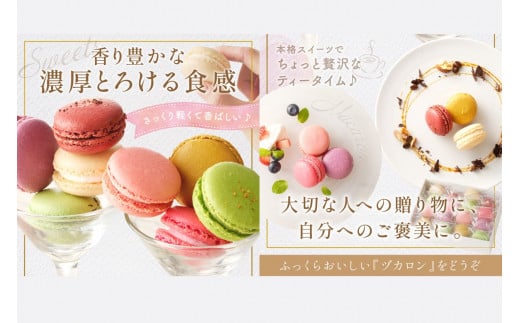 エスポワールマカロンセット【B3-027】 / 福岡県飯塚市 | セゾンの