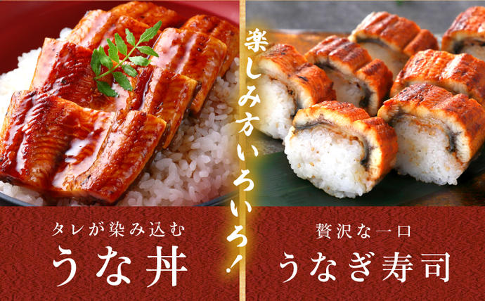 宮崎県日南市のふるさと納税 職人 手焼き うなぎ蒲焼 2尾 計260g以上 鰻 魚介類 伝統の味 秘伝のタレ 厳選 国産 ウナギ おかず 食品 加工品 真空パック 冷蔵 人気 おすすめ うな重 うな丼 惣菜 お土産 ひつまぶし うなぎ寿司 お祝い 贈り物 ギフト 贈答 プレゼント 宮崎県 日南市 送料無料_CD40-23