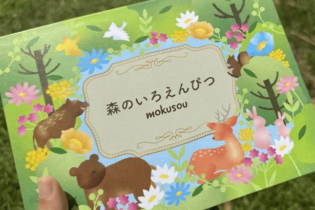 森のいろえんぴつ（色鉛筆 えんぴつ 色えんぴつ 鉛筆 文具 文房具 木材