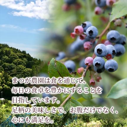神奈川県南足柄市のふるさと納税 まつが農園アイスクリームギフト12個入り