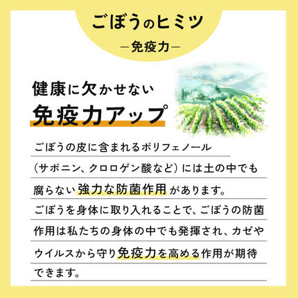 秋田県三種町のふるさと納税 スッキリゴボウチャ ティーパックタイプ (1.5g×10包×10袋)