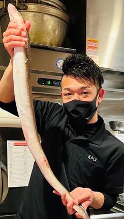 京都府長岡京市のふるさと納税 国産天然伝助穴子の煮穴子炙り(およそ6人前)｜国産 天然 伝助穴子 煮穴子 炙り [1441]