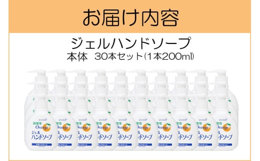 ジェルハンドソープ 本体 200ml×30本【B-179】 / 福岡県飯塚市