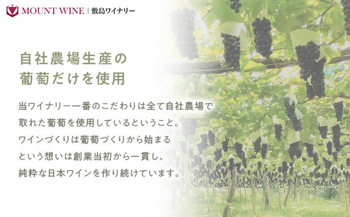 山梨県甲斐市のふるさと納税 【敷島 赤 & 敷島 白】赤白2本セット 敷島醸造