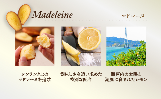 兵庫県芦屋市のふるさと納税 【アンリ・シャルパンティエ】 フィナンシェ ・ マドレーヌ 詰合せ 33個入り（西宮市・芦屋市共通返礼品）[ スイーツ ギフト ]