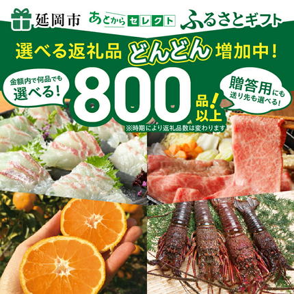 宮崎県延岡市のふるさと納税 あとからセレクト2万円 N0159-YB090