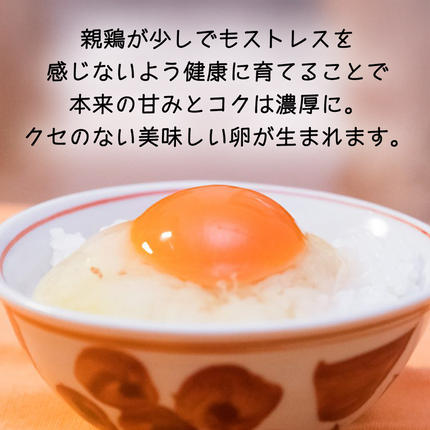 紅プレミアム 卵 30個 （ 25個 入り ＋ 割れ保障 5個 ） 独自飼料 濃厚