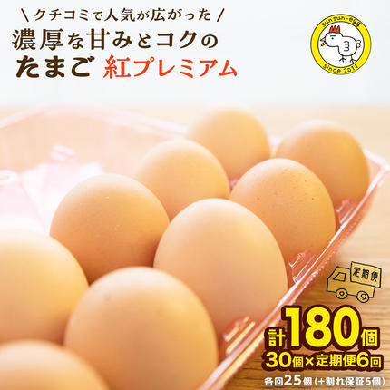 【 定期便 】【 全6回 コース 】紅プレ