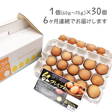 茨城県つくばみらい市のふるさと納税 【 定期便 】【 全6回 コース 】紅プレミアム 卵 30個 （ 25個 入り ＋ 割れ保障 5個 ） 独自飼料 濃厚 おいしい玉子 玉子 たまご サンサンエッグ タンパク質 [CX07-NT]