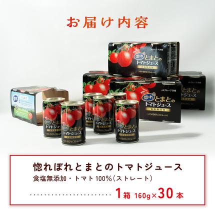 茨城県八千代町のふるさと納税 惚れぼれとまとの トマトジュース ( 無塩 ) 1箱 30本入 とまと ジュース 完熟トマト 健康 美容 茨城県産 食塩無添加 野菜ジュース [AA010ya]