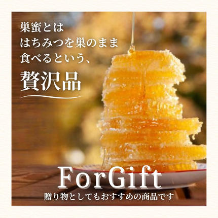 岡山県鏡野町のふるさと納税 巣蜜(ハンガリー産)200g（4216）【006-a084】