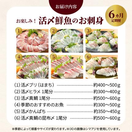 宮崎県延岡市のふるさと納税 【お楽しみ定期便】延岡産活〆鮮魚の豪華お刺身（6ヶ月定期便） N019-YF073