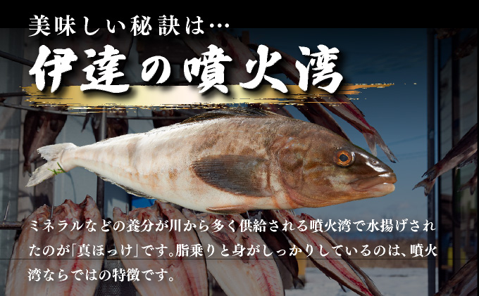 北海道伊達市のふるさと納税 噴火湾産 開き真ほっけ 3枚セット 北海道 伊達市
