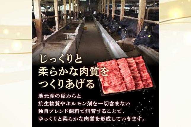 福岡県飯塚市のふるさと納税 本格黒毛和牛　筑穂牛肩ロース肉すき焼き用　７００ｇ【E-081】