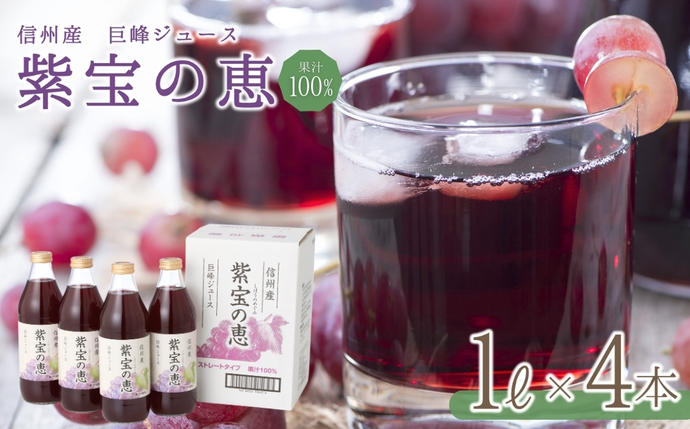 信州産 巨峰ジュース 「紫宝の恵」 果汁100％ (1L×4本)｜フルーツ
