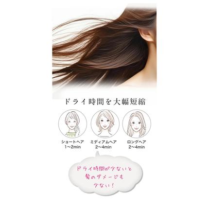 茨城県つくばみらい市のふるさと納税 【ギフト対応】 美ルル イオン ユーロス（速乾マイナスイオンドライヤー)　チャコールブラック 速乾マイナスイオンドライヤー  大風量 22m/s マイナスイオン 低温 温風 冷風 ヘアドライヤー 美髪 ギフト [DD99-NT]