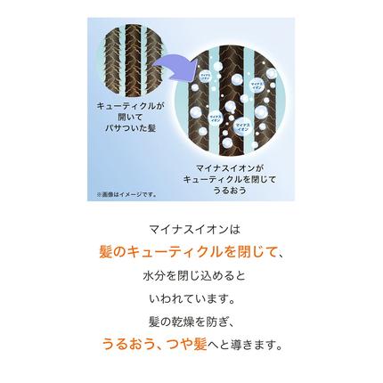 茨城県つくばみらい市のふるさと納税 【ギフト対応】 美ルル イオン ユーロス（速乾マイナスイオンドライヤー)　チャコールブラック 速乾マイナスイオンドライヤー  大風量 22m/s マイナスイオン 低温 温風 冷風 ヘアドライヤー 美髪 ギフト [DD99-NT]