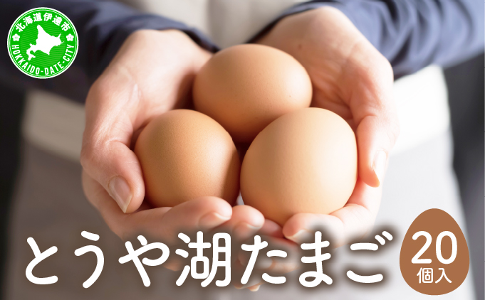 北海道伊達市のふるさと納税 北海道 伊達市 とうや 卵  20個 入り たまご