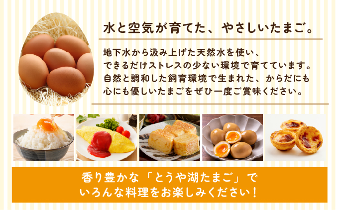 北海道伊達市のふるさと納税 北海道 伊達市 とうや 卵  20個 入り たまご