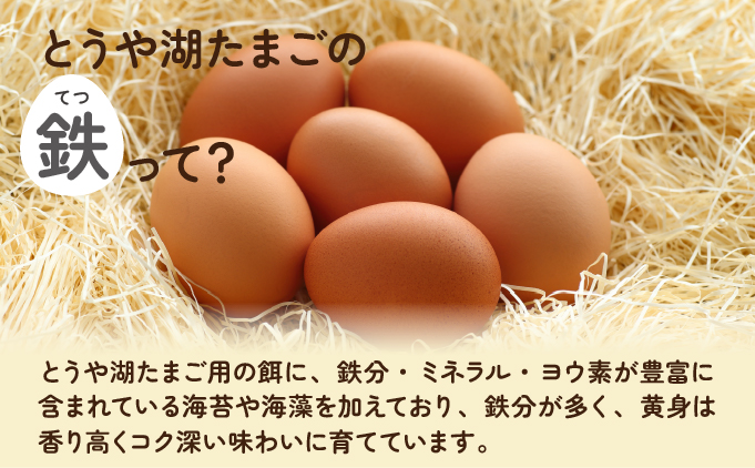 北海道伊達市のふるさと納税 北海道 伊達市 とうや 卵 鉄  40個 入り たまご