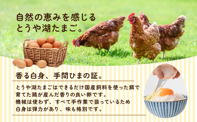 北海道伊達市のふるさと納税 北海道 伊達市 とうや 卵 鉄  40個 入り たまご
